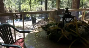 Serenity by the River: Glamping in Claxton, Georgia - Image 4