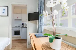BRIGHT Gorgeous Studio in CHELSEA, 2 guests - Image 5
