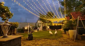 The Promise Land - Nature Retreat - Image 5