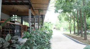 My Parents Guesthouse - Image 3