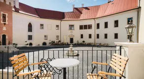 Palace Art Hotel Pezinok - Image 5