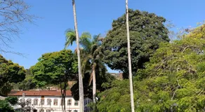 Rua D - Image 5