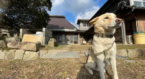 未来のふるさと村 - Image 5