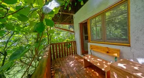 Cottage surrounded by forests - The Sunny Hill - Image 5