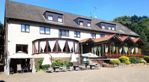 Damhirsch - Image 5