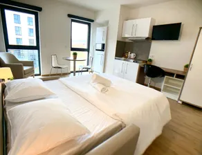 Fully Furnished Studio - City Center Belval - Image 2
