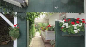 Sommertraum - Image 2