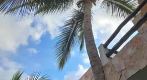 Casa Mango Jardin - Image 4
