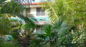 Hostal Harvest House - Image 5