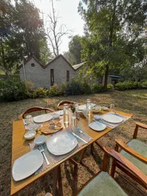 Bison Retreat - Pench - Image 4