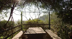 Fattoria di Camporomano - Image 4