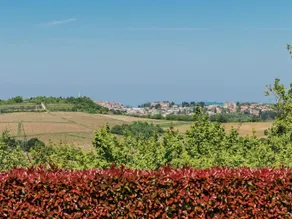 Villa con piscina, giardino e barbecue | Vista sulla piscina - Image 3