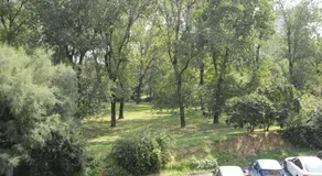 Fiera Boutique - Image 4