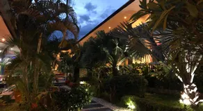 Tropical Palm - Image 3