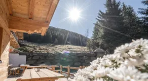 Weidenchalets - Image 5