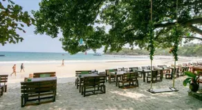 Greenplace-Samed Seahorse - Image 5