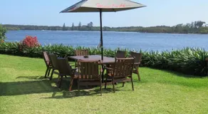 Harrys Haven Harrington - Image 5