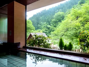 Senjo Onsen Seiryu - Image 2