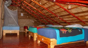 Hostel La Ballena Backpacker - Image 3