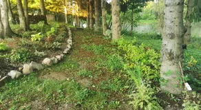 Seigneurie de Valdombre - Image 4