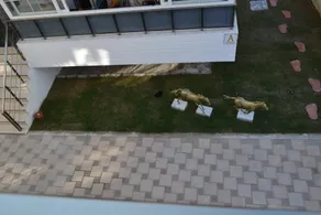Apart-Hotel Villa Anastasia - Image 5