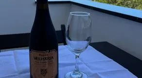 Vizion Mar Vidigal - Image 3
