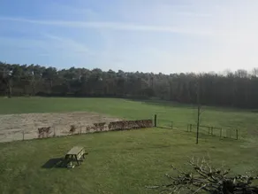 Ferienhaus in Well am Maasduinen Park - Image 2