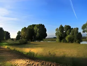 Andreoli & Miglioranzi - Image 3