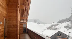 Franz Johann Appartement SKI-IN SKI-OUT by Schladming-Appartements - Image 3