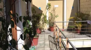 Don Pablo - Image 3