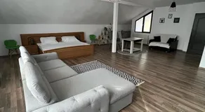 Pensiunea Broscuta - Image 2