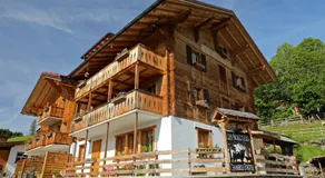 Les chambres et Roulottes des Noisetiers - Image 4