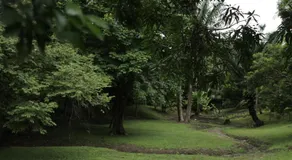 Hostel Guayacan - Image 4