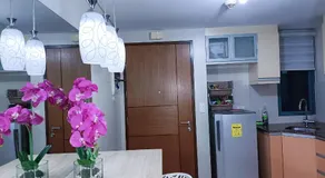 AFFORDABLE TWO PALMTREE VILLAS NEAR NAIA3 NEWPORT BOULEVARD PASAY CITY - Image 5