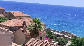 Paradise - Image 5