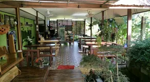 Khao Sok Blue Mountain - Image 3