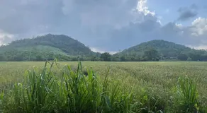 Natures Nook Homestay - Image 3