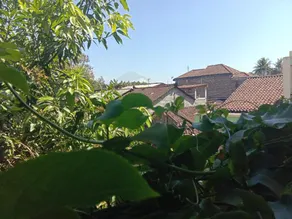 Tata Homestay - Image 5