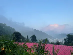 Just Naturals Wellness Resort Nainital - Image 2