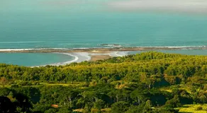 Pura Uvita - Image 5