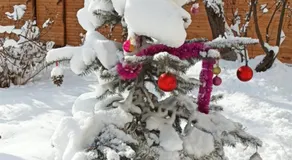 Evergreen Guesthouse - Image 5