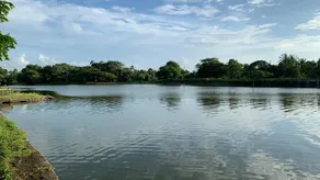 Sarovar's Nest - Image 3