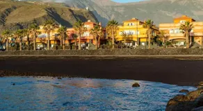 Las Palmeras - Image 3
