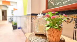 La Casa Mata Central - Image 3