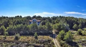 Divjaka Park - Image 3