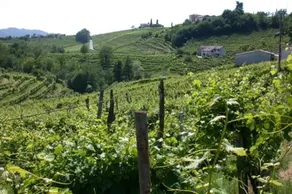 b&b alla pergola - Image 5