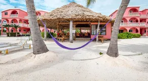 Saponaria 21-22 at Caribe Island Gold Standard Certified - Image 4