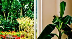 House Ninety Guesthouse - Image 4