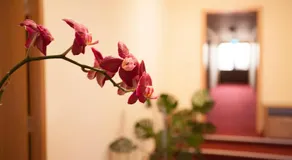 Cazare FAN - Image 4