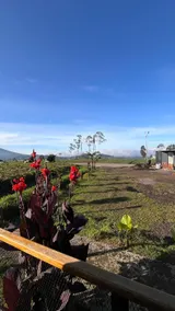 Dieng Ceria Resort - Image 4